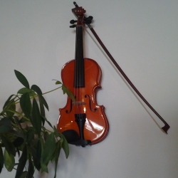 Violina